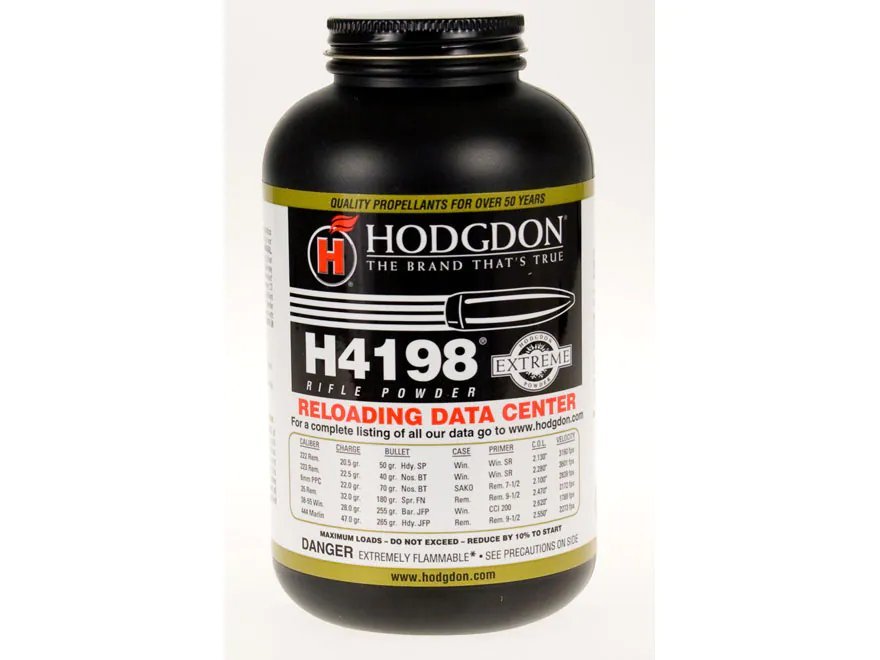 H4198 H4198
