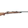 Remington 700 BDL