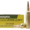 300 WSM Ammo
