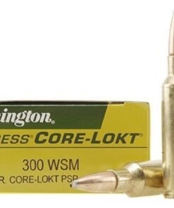 300 WSM Ammo