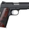 Dan Wesson Guardian
