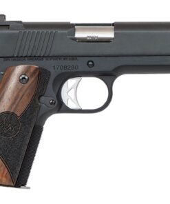 Dan Wesson Vigil